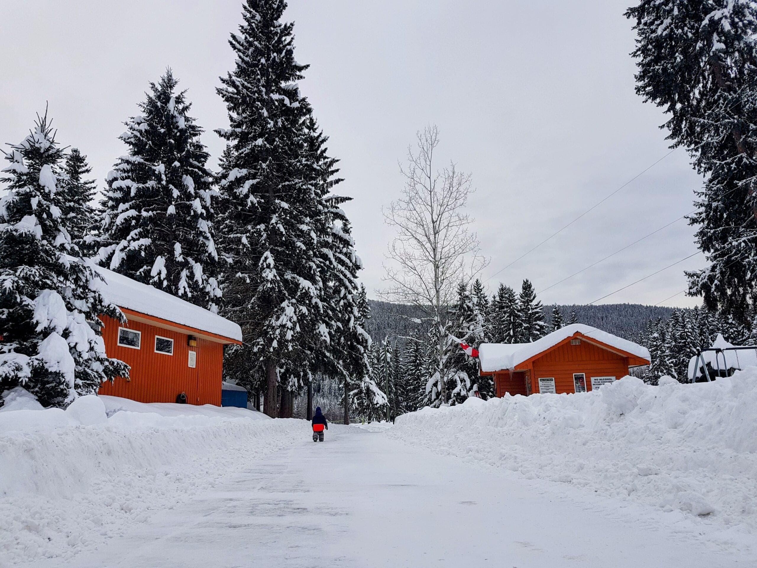 Village in winter