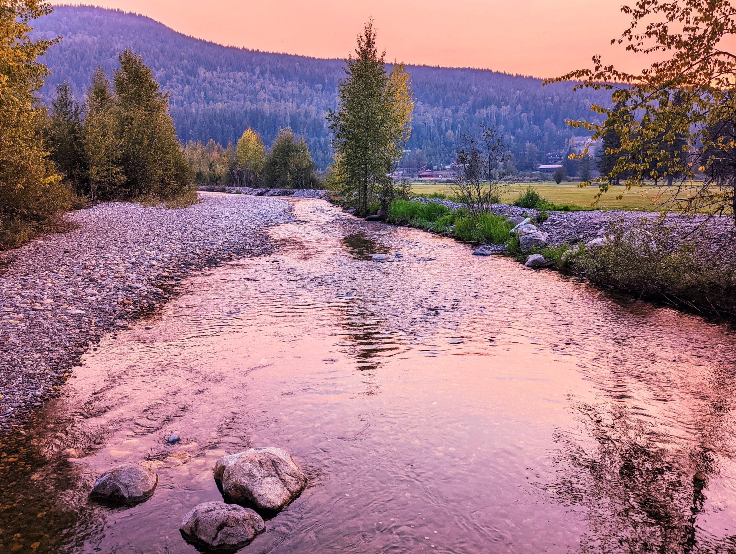 Creek at dusk