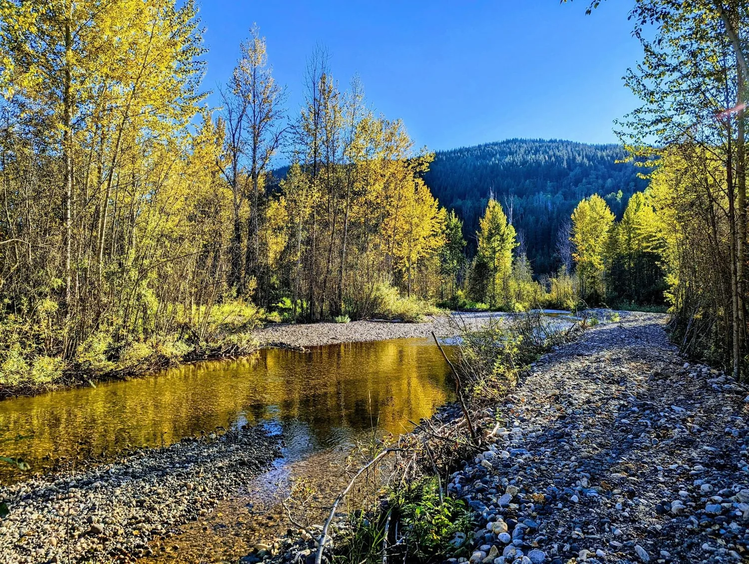 the creek
