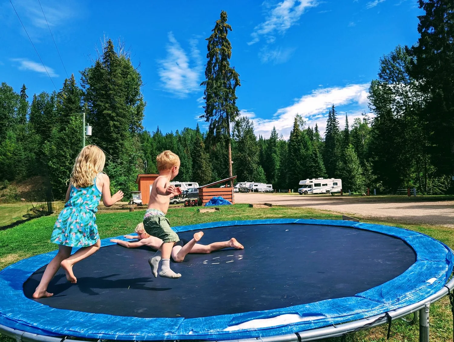 kids on the trampoline