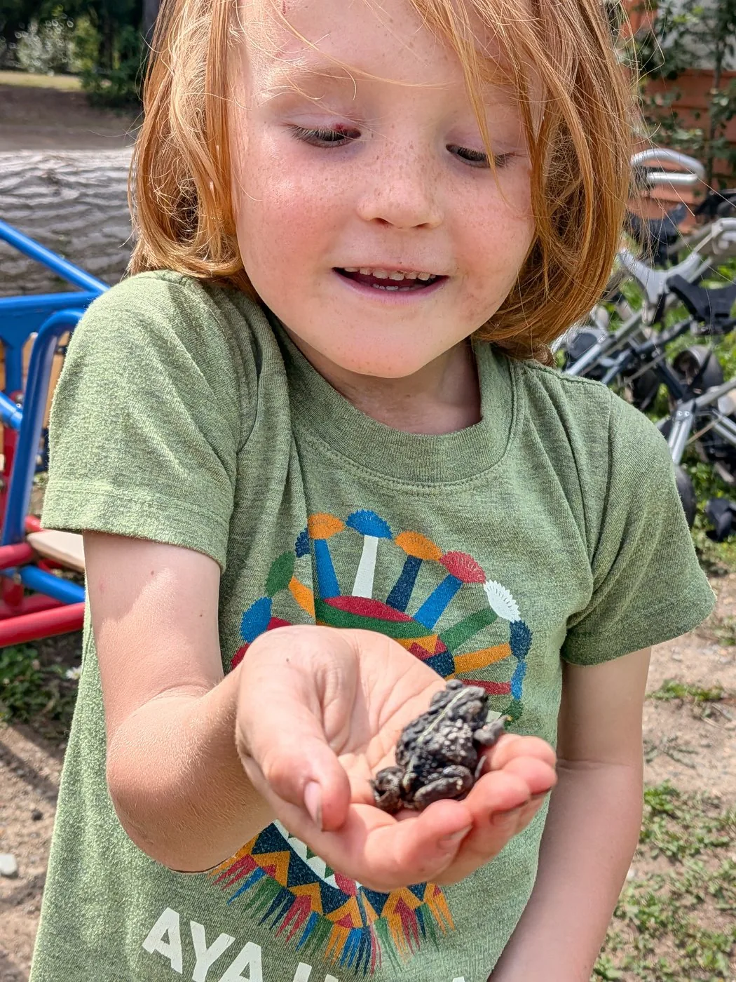 kids outdoors at Forest School